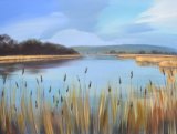Lynchens Marshes II