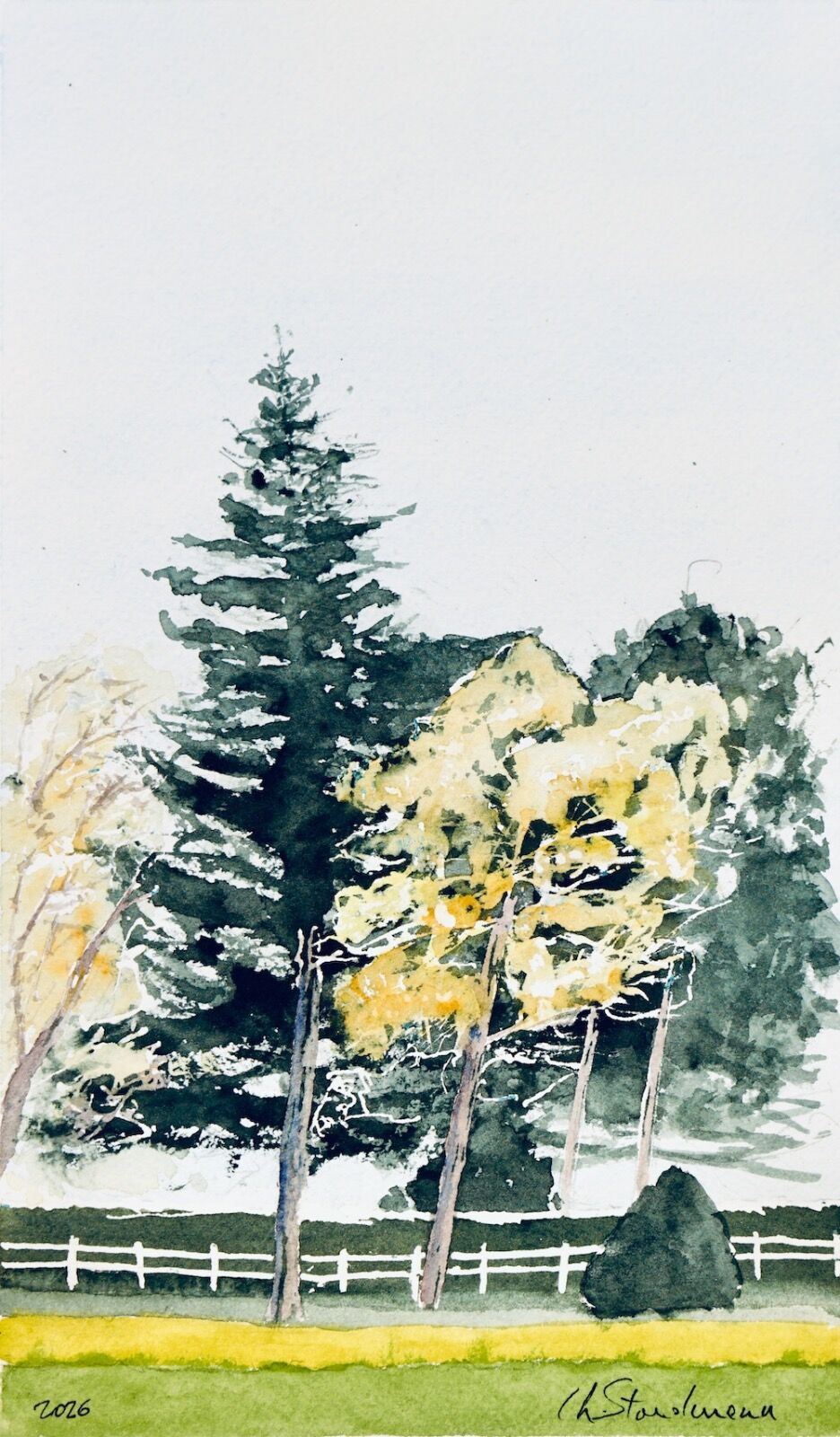Arbres et clôture