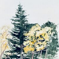 Arbres et clôture