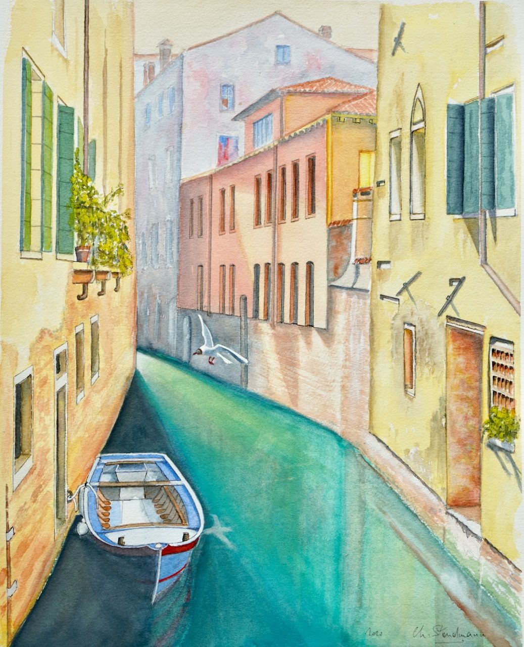 Canal de Venise et mouette rieuse / Venice canal