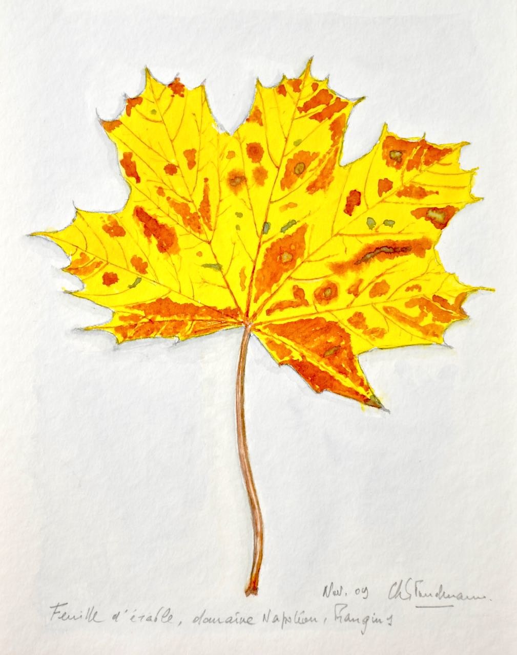 GRAVURE EN COULEUR originale signé Marcel Augis artiste Français des