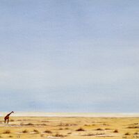 Giraffe solitaire dans le désert du Namib