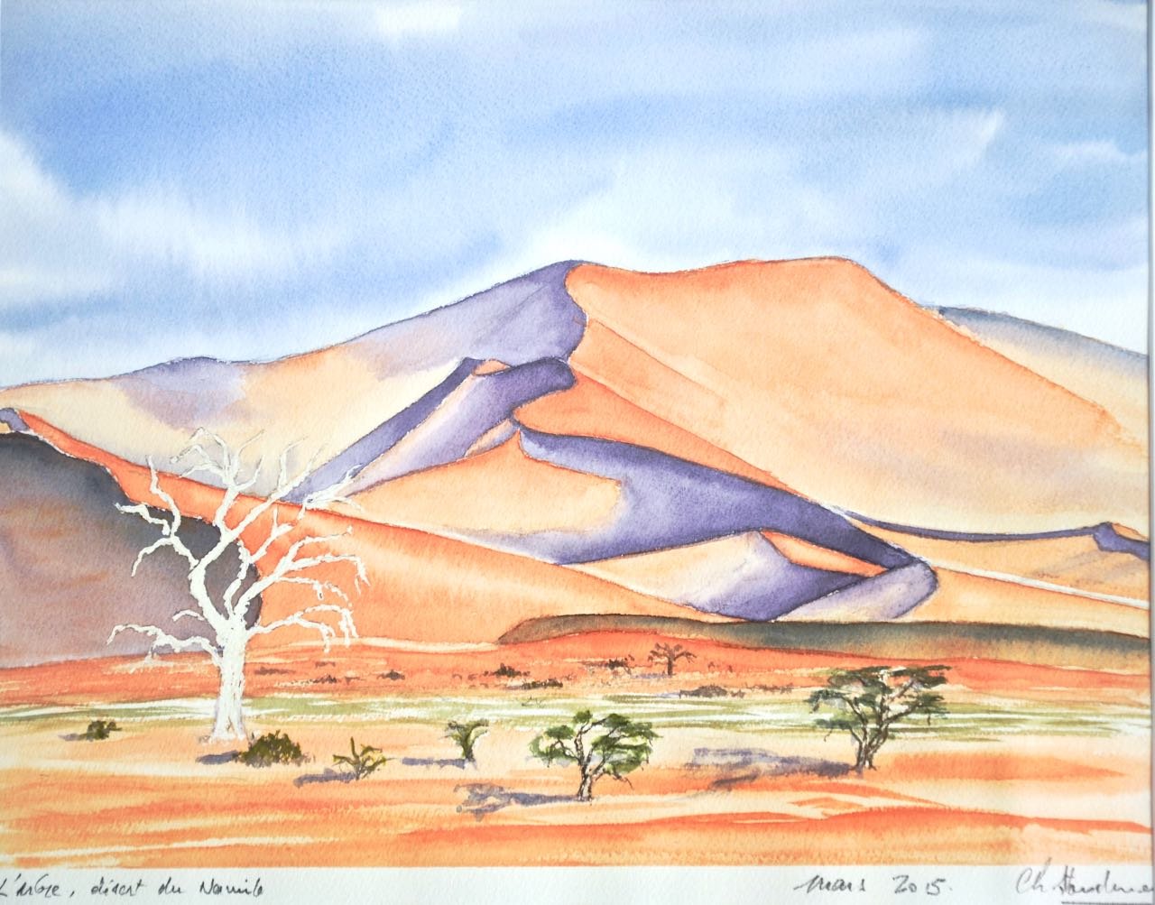 Non disponible / Arbre solitaire, Sossusvlei, désert du Namib