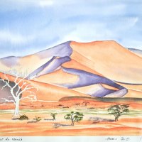 Non disponible / Arbre solitaire, Sossusvlei, désert du Namib