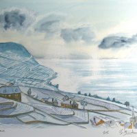 Lavaux en hiver
