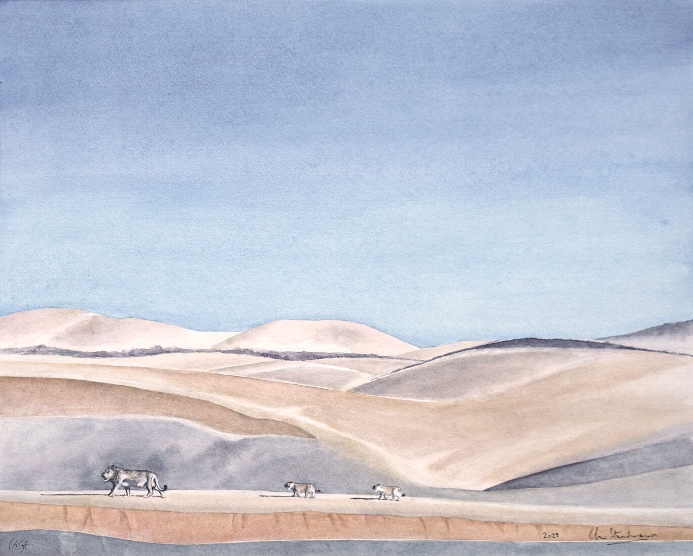 Lion et ses petits dans le désert du Namib