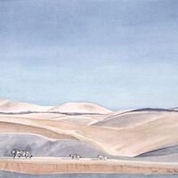 Lion et ses petits dans le désert du Namib