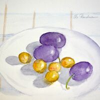 Non disponible / Nature morte aux pruneaux et mirabelles
