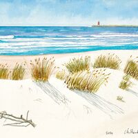 Plage près de Porto – 2