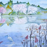 Sakura et Nandina, Japon