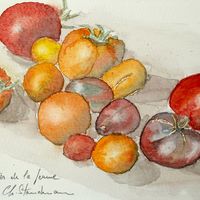 Nature morte aux tomates