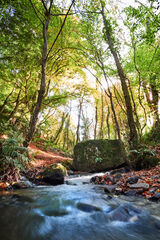 Landscapes/Seascapes