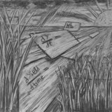 carbon fixed: willow charcoal, chalk, recycled paper 42x59cm