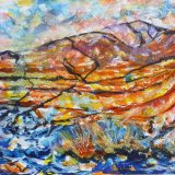 Elan Valley Gors Lwyd bog