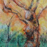 Elan Valley Visitors Centre oak tree