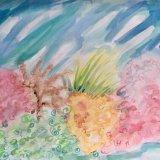 Coral Seabed