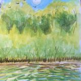 Mangrove Riverbed