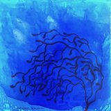 BLUE CORAL DREAM