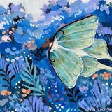 NIGHT MOTH