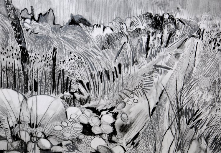 'Country Path no1'