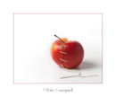Apple Sewn