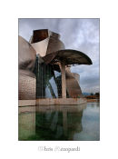 Guggenheim Museum - Bilbao