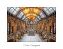 Natural History Museum of London