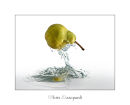 Pear Splash
