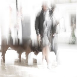 5003 - walking the dog ICM