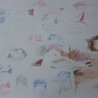 Day 1 - Dunbar Harbour