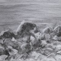 Day 4 - St Abbs Head