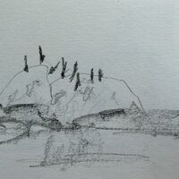 Day 5 - Boat to Isle of May