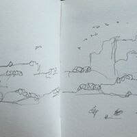 Day 5 - Boat to Isle of May