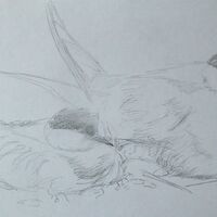 Day 5 - Isle of May
