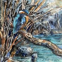 Findatie Kingfisher IV