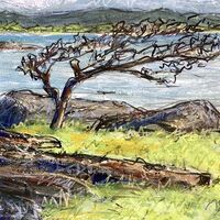 Prevailing Winds