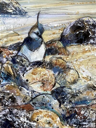 Lapwing Shores #3