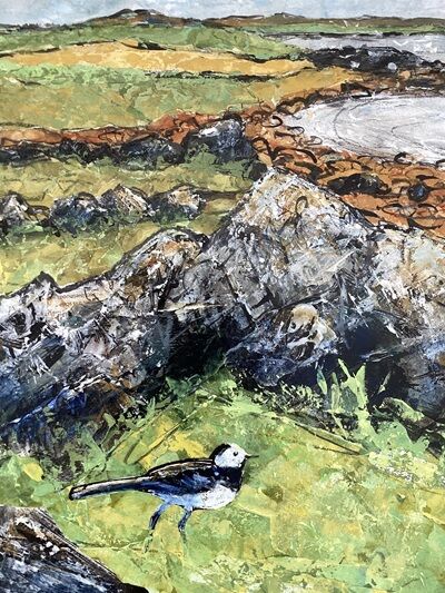 Wagtail & Rocky Shores