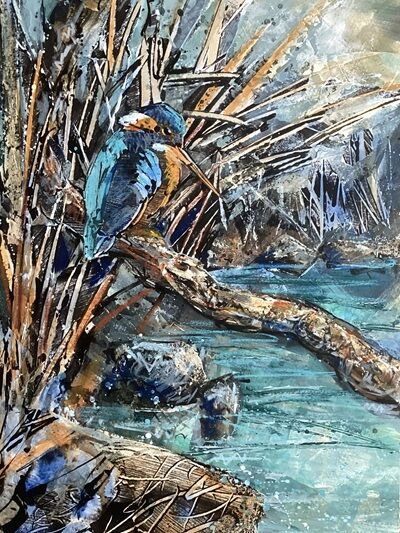 Findatie Kingfisher IV