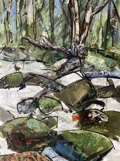 Wren on Rocks