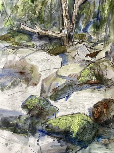River Dipping