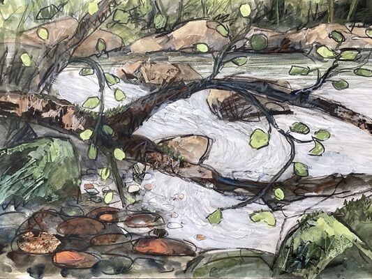 Riverside Dipper