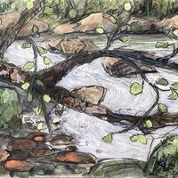 Riverside Dipper