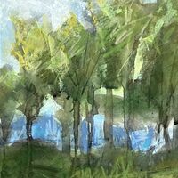 Sunlit Trees