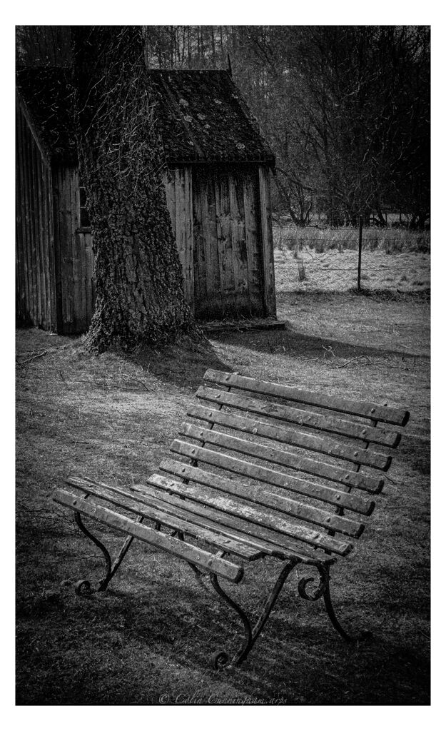 Lonely Bench for Contemplation