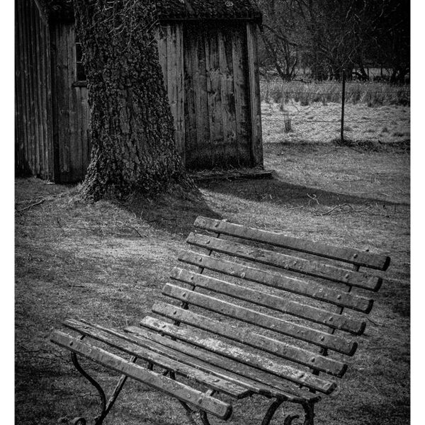 Lonely Bench for Contemplation