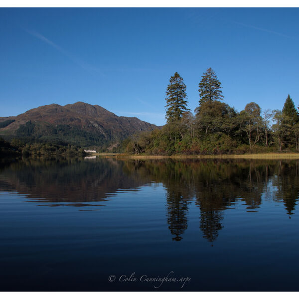 Reflections