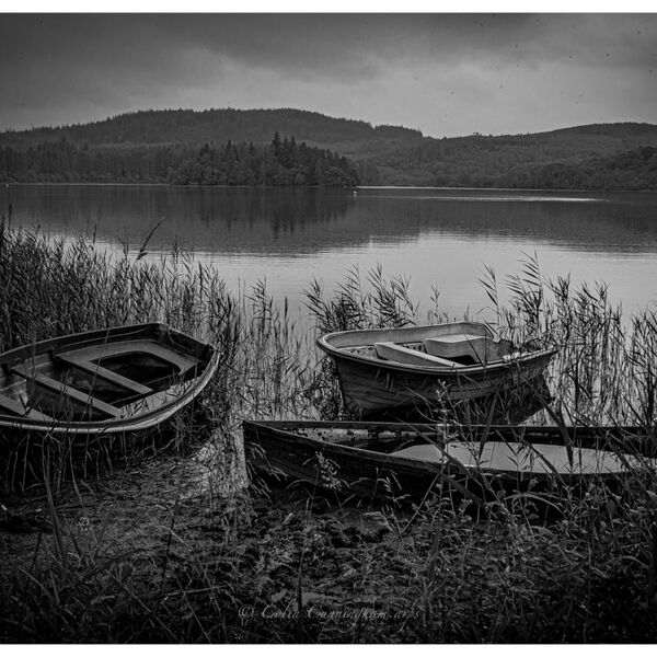 Old Boats