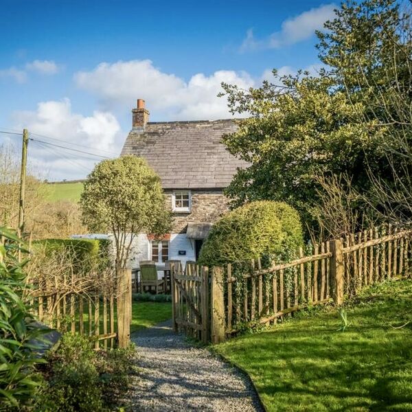 Chestnut wood fencing