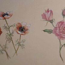 "Anemones and Roses" by Judith Jaggard